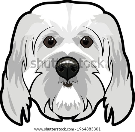 Fluffy white dog vector portrait 
