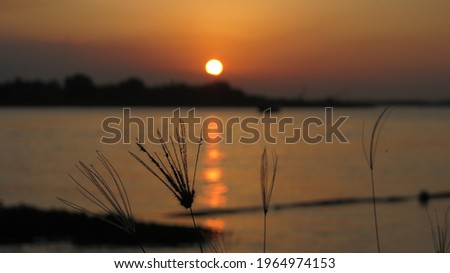 Sunset over the river horison, grass growing on beach