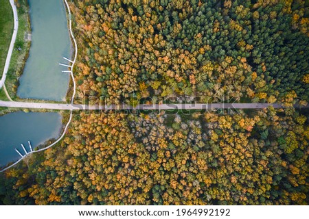 Top down aerial view of footpath and footbridge over river in the park in autumn