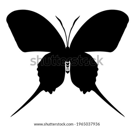 Butterfly vector icon, isolated on white