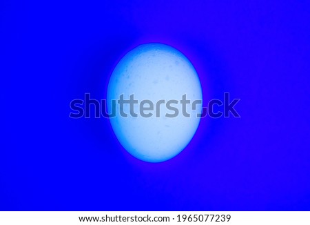 White egg on the blue background. Copy space. Minimalism, original and creative photo. Beautiful wallpaper.