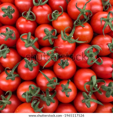 Macro photo red cherry tomatoes. Stock photo red cherry tomato vegetable background