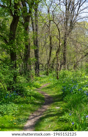 Hiking trail through the woodlands on a beautiful Spring morning.  Franklin Creek State Natural Area, Franklin Grove, Illinois Royalty-Free Stock Photo #1965152125