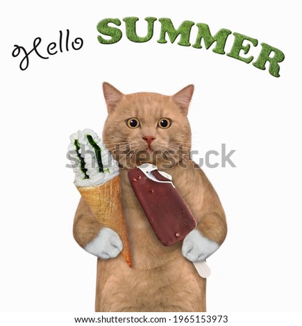 A reddish cat holds two ice creams. Hello summer. White background. Isolated.