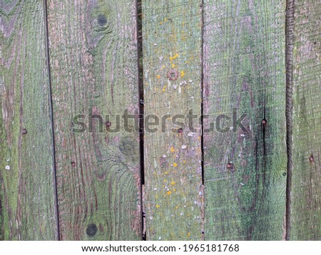 green and wet old wooden fence texture and background