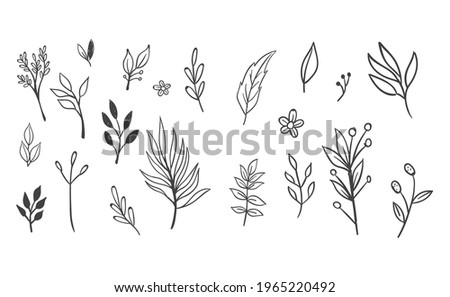 Hand drawn floral elements. Swirls, laurels, arrows, leaves, flowers and branches. Doodle botanical elements. 