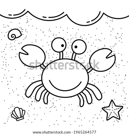 Crab starfish shell hermit crab in the shore drawing book illustration vector