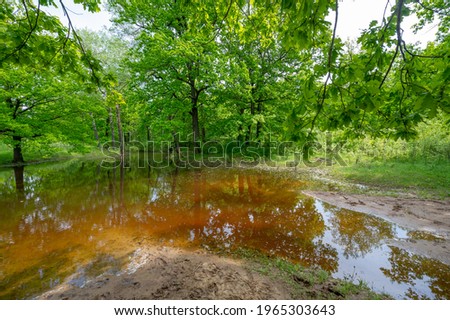 Spring photography in the river delta. European part. Spring flood of the river. The river floods during snowmelt and ice drift in spring.
