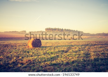 hay bales on foggy morning on meadow. sunrise landscape photo with vintage effect