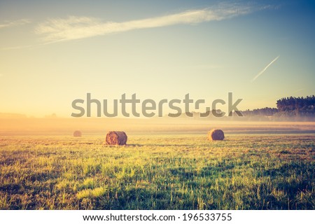 hay bales on foggy morning on meadow. sunrise landscape photo with vintage effect