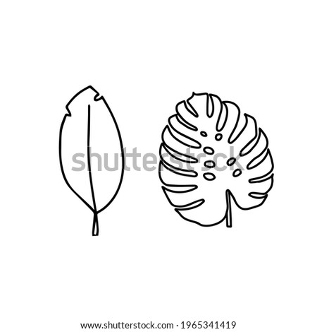 A trendy separate element of the tropical leaf. Palm, monstera. Hand drawn doodle illustration for decoration, print, posters, textile design, postcards. Isolated over white background.
