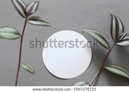 blank round paper sheet with home plant leafs on grey background