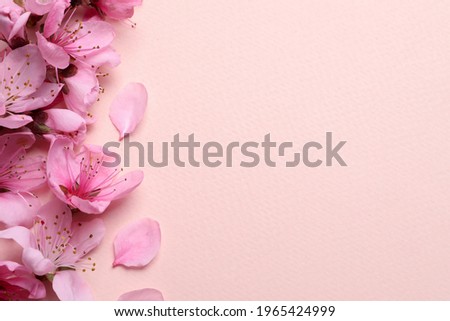 Beautiful sakura tree blossoms on beige background, flat lay. Space for text