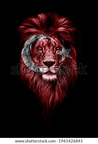 Portrait of a Beautiful lion, faceart and patriotism concept. Portrait of a leader. king. Portrait of a lion with a projection of the flag of the Turkey. Patriot of his country.