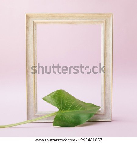 Abstract green leaf on frame. Pink background. Minimal. Copy space.