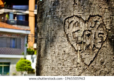 Love writing carved in the tree trunk