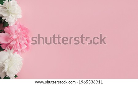 Creative layout made of white and pink peony flowers on pastel pink background. Top view. Copy space. Flat lay. Nature concept