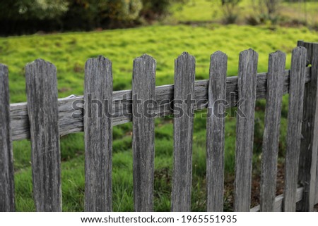  black wooden picket fence with green grass, large trees and lush shrubs in a garden. The summer scene is vibrant. The sun is shining on the dark palings giving a warm glow to the wood.