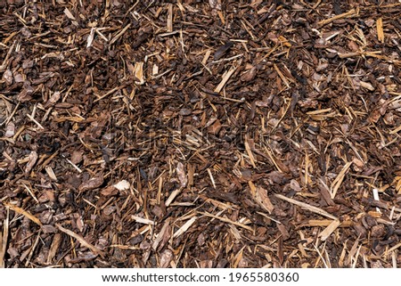 Wood chip bark chippings having been shredded for use as a garden mulch by the lumber timber industry which can be used as an abstract texture background, stock photo image Royalty-Free Stock Photo #1965580360