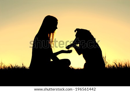 a girl is sitting outside in the grass, shaking hands with her German Shepherd dog, silhouetted against the sunsetting sky Royalty-Free Stock Photo #196561442