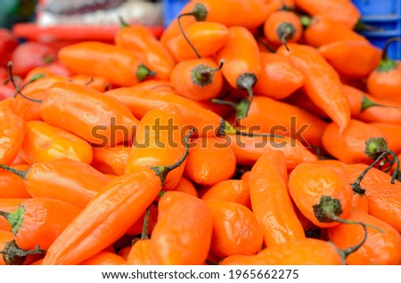 Red Orange pepper, spicy delicious from a farmers market in Santiago de Chile