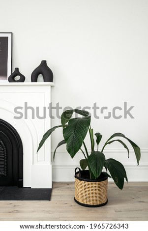 Concept of houseplant and home decor in modern interior room. Vertical view of spathiphyllum plant in wicker basket standing on wooden floor near white fireplace with vase and picture frame on shelf