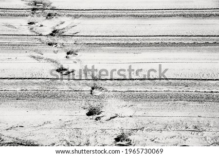 Sand racked texture with footprints on the beach in the morning. Monochrome picture