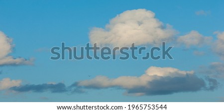 Wildlife photography. Cumulus clouds are clouds that have flat bases and are often described as puffy, cotton-like or fluffy in appearance.
