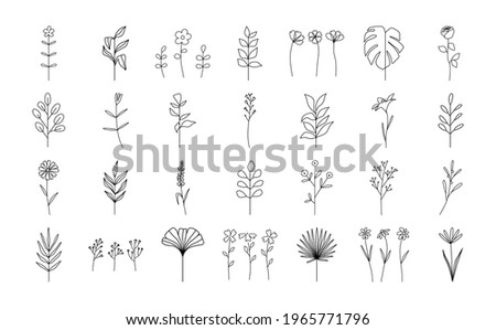 Set trendy abstract floral minimalist botanical branch and leaves tropical plants doodle wildflower line art elements