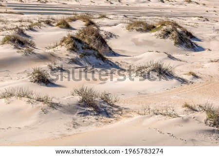 Rolling sand dunes from the North Carolina Outer Banks