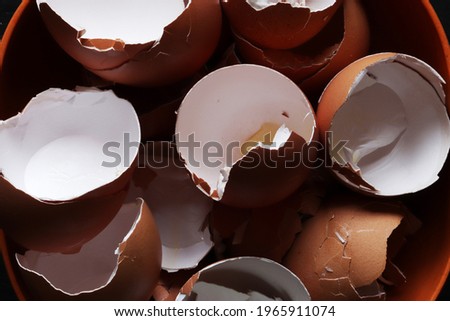 Photography of empty eggshells in a bowl for food illustration