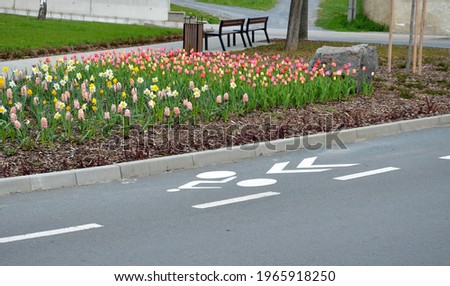 on the square with benches and a trash can is a flower bed with bulbs that bloom in dense distance. A bicycle path leads around with a bicycle symbol on the road. gardening takes care of everything 