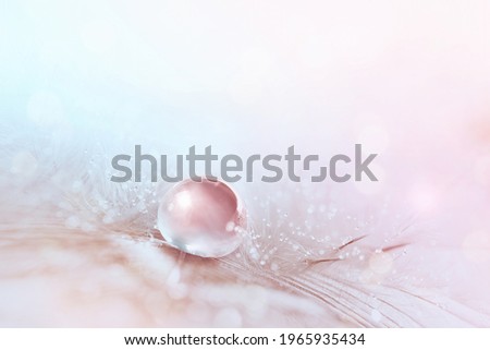 Light airy natural background in pink tones with drop of water on feather, macro. Elegant, gentle artistic image beauty of nature. Royalty-Free Stock Photo #1965935434