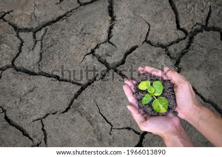 In his hand was holding the seedling.  He was about to plant a tree on the dry land. He hopes to make the world a better place.