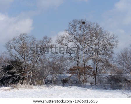 Countryside on a snowy day