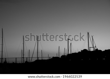 Black and white picture of mast silhouettes 