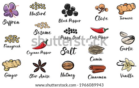 Spice jar labels set - allspice stickers. minimalist style illustration.Logo . Label. Icon. Vanilla, star anise, cloves, garlic, saffron, pepper, turmeric .various spices hand draw vector. Eps 10. Royalty-Free Stock Photo #1966089943