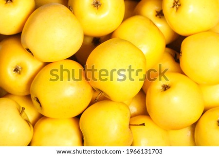 yellow apples are in the box background image Royalty-Free Stock Photo #1966131703