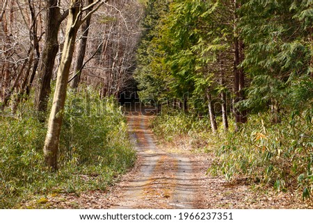 Rut scenery remaining on the forest road of thickets Royalty-Free Stock Photo #1966237351