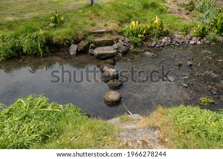 Spring Landscape of Old Weathered Stepping Stones Crossing a Stream in Rural Devon, England, UK