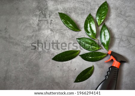 Empty black bottle mockup for cleaning. Eco spray bottle for safe cleaning with green leaves on concrete background. Copy space, flat lay. Creative composition.
