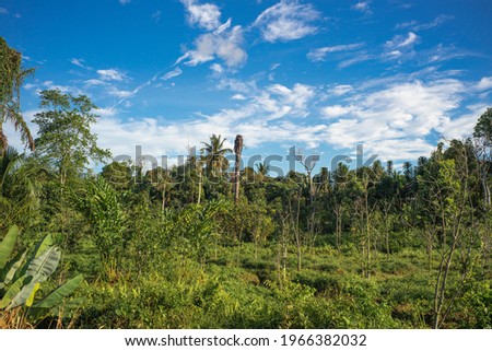 natural blue sky take this picture in Malaysia Selangor Royalty-Free Stock Photo #1966382032