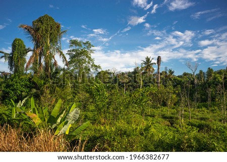 Natural blue sky take this picture in Malaysia Selangor Royalty-Free Stock Photo #1966382677