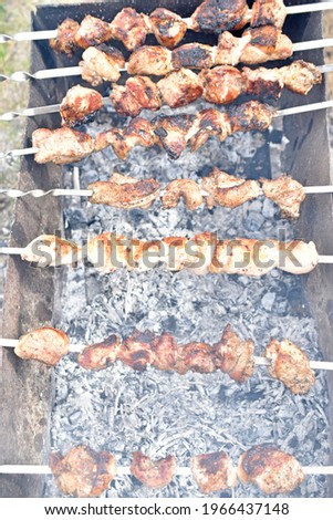 Grilled shish kebab on the grill with meat and coals