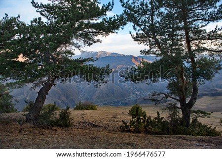 Russia. Republic of Dagestan. North-Eastern Caucasus. View from a high-altitude pine forest on the valley of the Andean Koysu river near the village of Agvali. Royalty-Free Stock Photo #1966476577