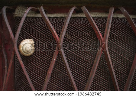 A close up of a snail on metal bar