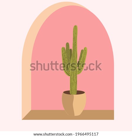 Mexican cereus in a ceramic pot on the window