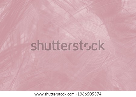 Beautiful violet feather pattern texture background , pastel color style