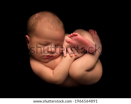 7 days old baby boy posed in the curled up pose of an unborn foetus Royalty-Free Stock Photo #1966564891