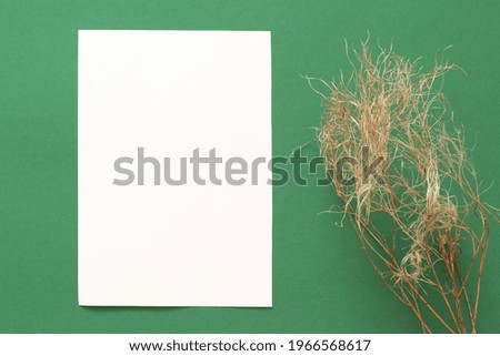 top view of blank white paper template on green background with dry autumn grass
